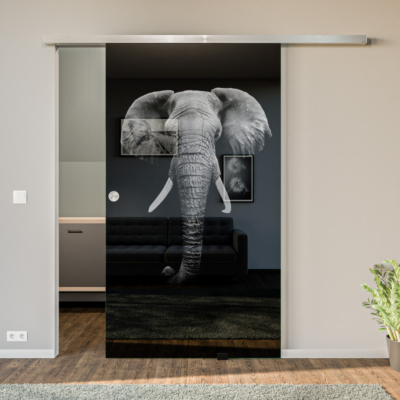 Glasschiebetür lackiert mit Lasermotiv Elefant