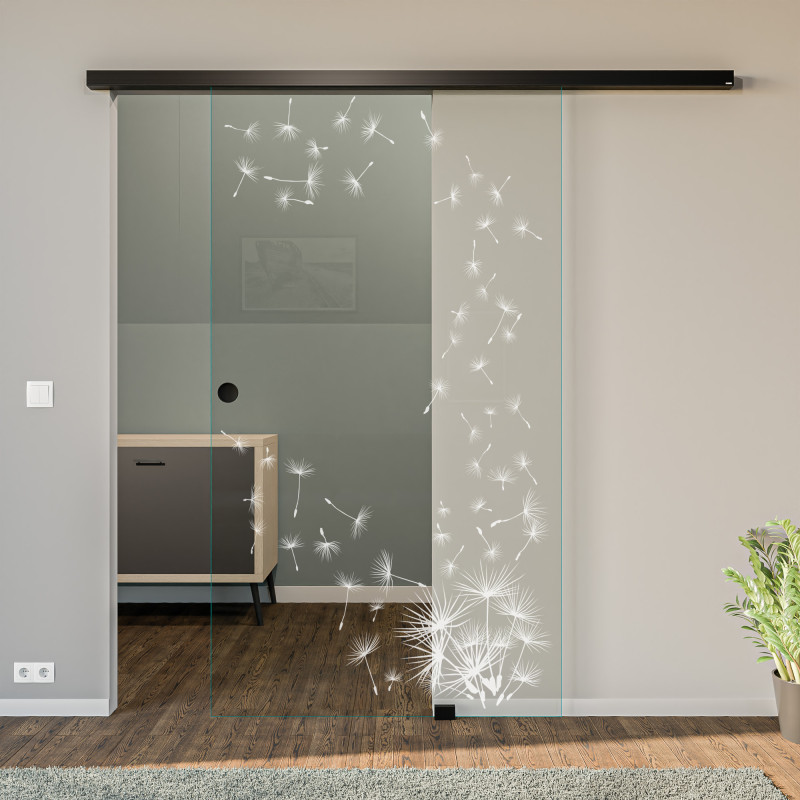 Glasschiebetür gelasert mit Motiv Pusteblume