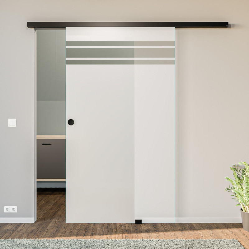 Glasschiebetür satiniert mit Motiv Dinodra Glasschiebetür satiniert mit Motiv Dinodra