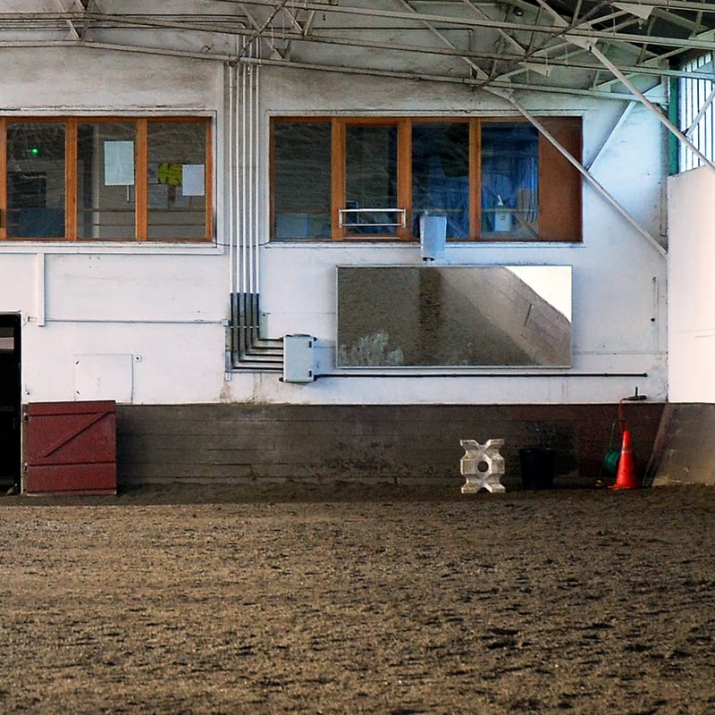 Reitsport Spiegel für Reithallen - Spiegelwand