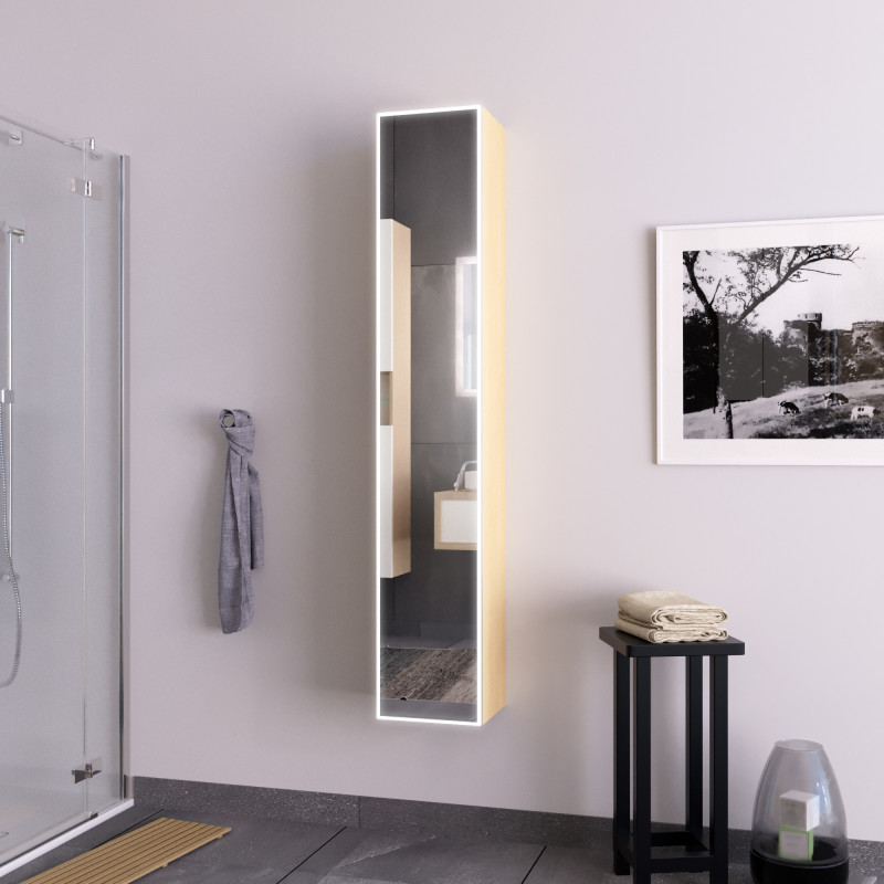 Hochschrank mit Spiegel und Beleuchtung Hängeschrank - Zirkon LED