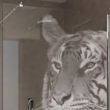 Walk In Dusche Eye of the Tiger Walk In Dusche Eye of the Tiger