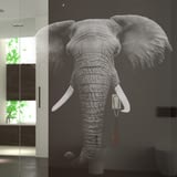 Walk In Dusche gelasert mit Motiv Elefant Walk In Dusche gelasert mit Motiv Elefant