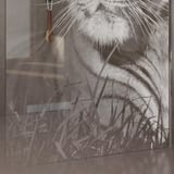 Walk In Dusche Eye of the Tiger Walk In Dusche Eye of the Tiger