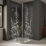 Glas Duschkabine mit Motiv Gras Glas Duschkabine mit Motiv Gras