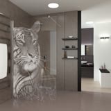 Walk In Dusche Eye of the Tiger Walk In Dusche Eye of the Tiger