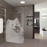 Walk In Dusche gelasert mit Motiv Bello Walk In Dusche gelasert mit Motiv Bello