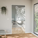 Innentür Glas Laser-Design Eye of the Tiger Innentür Glas Laser-Design Eye of the Tiger