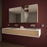 Bad Spiegelschrank nach Maß - Dark Lion