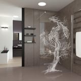 Walk In Dusche Drache Walk In Dusche Drache