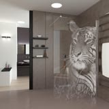 Walk In Dusche Eye of the Tiger Walk In Dusche Eye of the Tiger