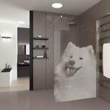 Walk In Dusche gelasert mit Motiv Bello Walk In Dusche gelasert mit Motiv Bello