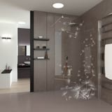 Walk In Dusche gelasert mit Motiv Pusteblume Walk In Dusche gelasert mit Motiv Pusteblume